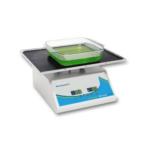 Everlast™ Rocker with Variable Speed and flat mat